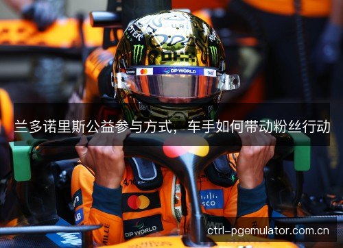 兰多诺里斯公益参与方式,车手如何带动粉丝行动 兰多诺里斯公益参与方式,车手如何带动粉丝行动